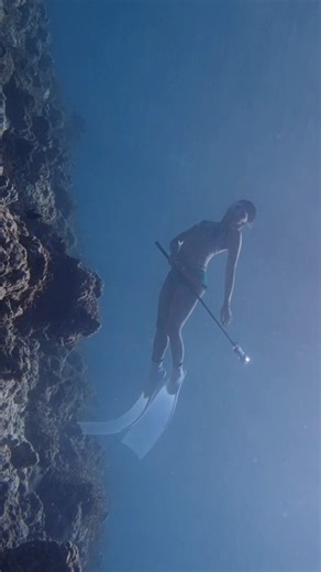 Freediving [Learn the basic Freediving]