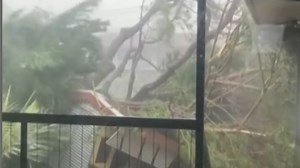 39K views · 299 reactions | Severe tropical cyclone Fina has caused wind gusts reaching 200 kilometres per hour, causing widespread damage. | Sky News Australia | Facebook
