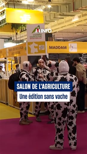 M6 Info | La 62e édition du Salon de l’agriculture vient d’ouvrir ses portes ce samedi et marque déjà l’histoire : pour la première fois, les vaches... | Instagram