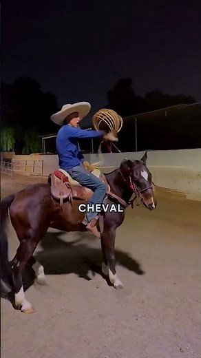 The Cowboys' Secret to Mastering a Horse with a Lasso!