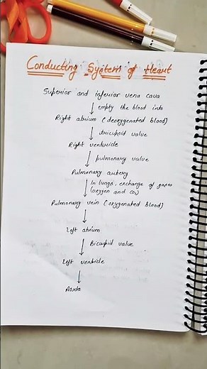 Conduction System of heart Flowchart | SA Node to Purkinje Fibers #NursingShorts #exam