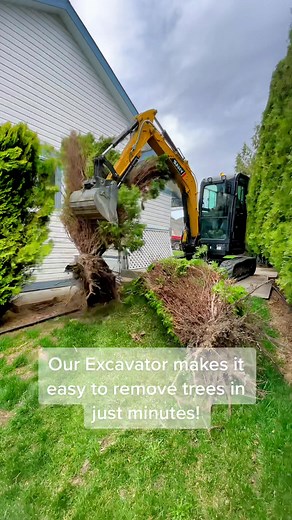 The Tree Dentist 🦷 #pullingstumps #stumpgrinding #stumpremoval #sany #excavator #sanyamerica #treeremoval #landscaping #landscaper #hardscape #hardscapeconstruction #work #timelapse #howto #fyp #landscapeconstruction #equipmentoperator #bluecollar #heavyequipment #demolish #demo #demolition #hardscapebrotherhood #equipment #treeservice #treework #trees #lawntok #lawn #lawncare #roots
