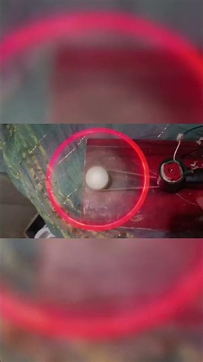 . ✨ DIY Running Light | Beautiful LED😍,#shorts #diy #viral #scienceproject