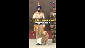 8.2K views · 67 reactions | CISF के 3 स्निफर डॉग्स रॉकी, रोमियो और सोनी रिटायर हो गए हैं. ये तीनों डीएमआरसी इकाई में तैनात थे. 8 साल से ज्यादा की सेवा पूरी करने के बाद ये सेवानिवृत्त हुए #CISF | #dogretirement | News18 India | Facebook