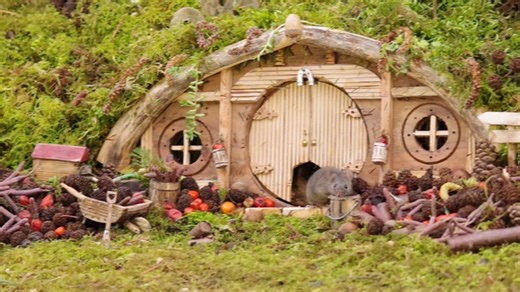 5.5K views · 536 reactions | A very pleasant Sunday in the Yorkshire garden Mouse Village .. . . . . #mousevillage #mice #home #homesformice #TheGiant #georgethemouse #georgethemouseinalogpilehouse #simondell #mouseland #mousetown #mouseville #onemanandhismouse #wildlife BBC News BBC Sheffield ITV Calendar Channel 4 News BBC Countryfile Extra RSPB The Woodland Trust NowThis @topfans | George the Mouse in a log pile house | Facebook