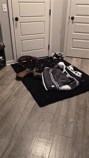 No more vacuuming and mopping your floors every single day!!! Protect your floors from all that dirt, snow, ice, rain, and mud with a @Muddy Mat #muddymat