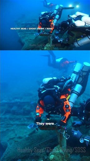Great white shark filmed underwater in Mediterranean