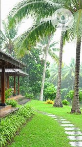 Rainy Day in Coconut Estate Bungalow 🌧️ Peaceful Rain Ambience | Relaxing Rain Sounds🌴