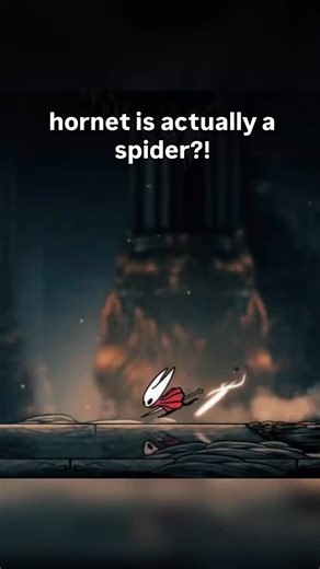 no way i got stickbugged by hornet Game Name: Hollow Knight Silksong | NJOYGamers