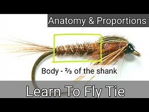 Learn To Fly Tie - My Fly Tying For Beginners - Anatomy & Proportions