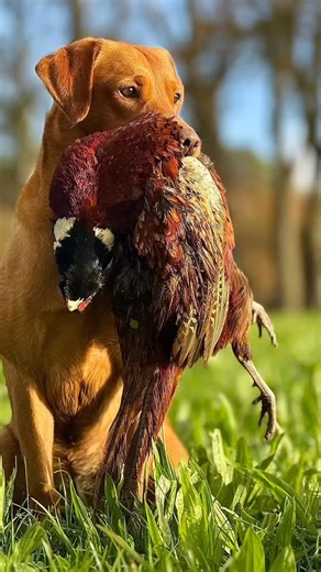 2025, what a year!! Emily - First half marathon, new home owner, passed driving test, and 21st birthday! Chloe - A silver Duke of Edinburgh, TenTors completion, grade 2 distinction in Piano & 16th birthday! Jack - A top of the league finish and cup final winners in the football season for Jack! Charlotte - Climbed her first mountain and pretty much single handedly organised all the above! 40th birthday for me and my brother in law! A brand new little niece! Not sure we can top that as a family b