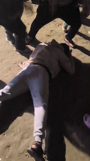 Lincoln International College | Highlights from the Socialization Program of BIT, BBA & BCS at Lincoln International College, where friendships begin and journeys take... | Instagram