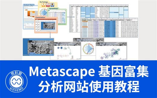如何用Metascape网站进行基因富集分析