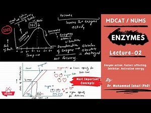 MDCAT | NUMS | Enzymes | Lecture-02