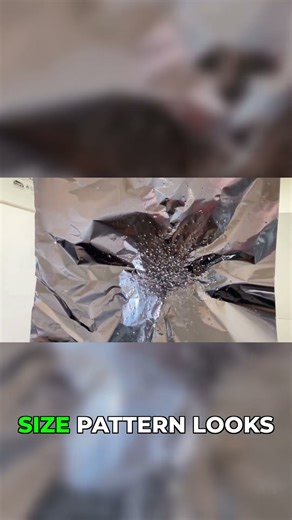 Bug Assault: Does it Penetrate Aluminum Foil?