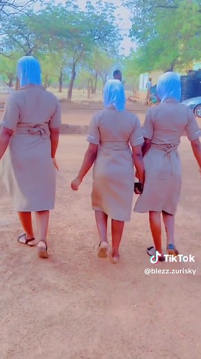 Understanding the Role of Environmental Health Officers