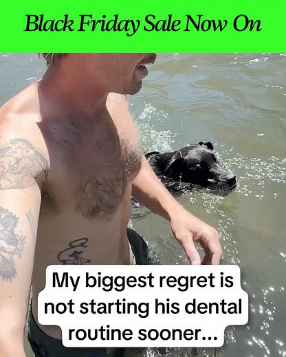 3.8K views · 137 reactions | Grab America’s #1 Dental Powder for Dogs - ProBright Advanced Powder at the best price possible now with our limited-time Black Friday Sale! ⚫ ✔️ Secure 50% OFF!  FREE expedited delivery ⏯️ Easy pause, skip or cancel anytime  Claim your offer below! | PetLab Co. | Facebook