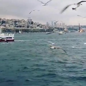 57K views · 2.5K shares | Gifs a Gift for Friends on Reels | Facebook