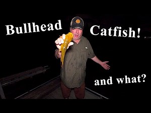 Nighttime Bullhead Catfishing: What Took My Bait Off the Kayak Ramp?