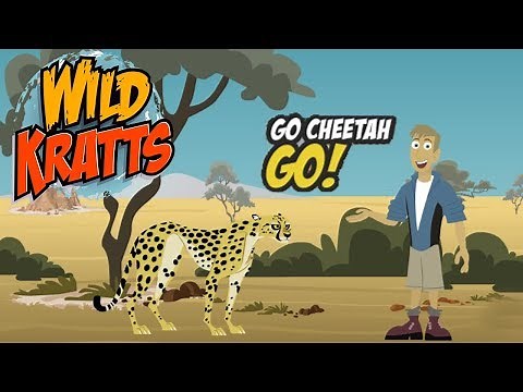[ PBS Kids GamesOnline ] Wild Kratts Go-Cheetah-Go | Kids Game Video