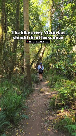 Explore The Den of Nargun Loop Walk in Victoria