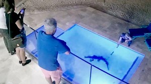 Crocodile takes a swim in backyard pool