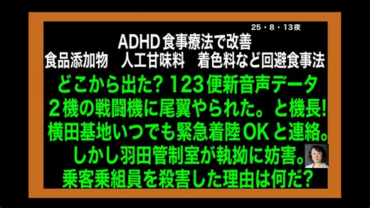 25・8・13 日航123便　新たなブラックボックス情報。戦闘機「本当に　打ってきやがった」と機長の肉声暴露　乗客乗員は殺された。尾翼がやられた。　尾翼相模湾に落下しかしそれを　引き上げ無かった。