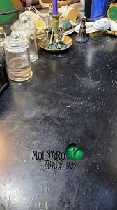 434K views · 3K reactions | My favorite of the clutch! #reels #snakes #reptiles #shed #animals #biology | The Molinaro Snake Lab | Facebook