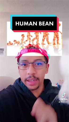 Exploring the Human Bean Phenomenon on TikTok
