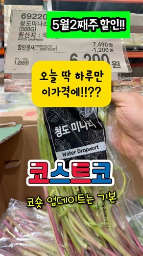 코스트코 5월2째주 목요일 할인정보 단하루 할인! 청도미나리, 리얼푸룻딸기완전 강추
