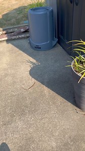 Avoided task ELIMINATED👹🤩 #recycle #reducereuserecycle #cleaning #organizing #declutter #satisfying #saturday #motivated #cleaningmotivation #drinking | Takes a Village Cleaning