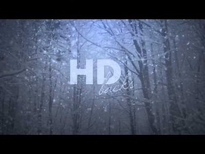 Forest Snowfall - HD Background Loop