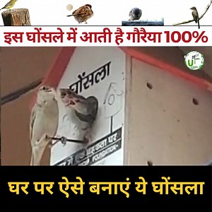 1.2M views · 24K reactions | Part-1 सिर्फ़ ख़रीदो नहीं खुद भी घर बनाओ चिड़िया घोंसला  गौरिया आएगी 100% Unique Farming The Unique Bharat | Unique Farming | Facebook