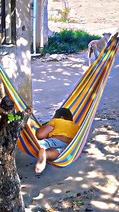 The cold ice 🧊🤣 #prank #prankvideo #funnyprank #funnymoments #funnycomedy | streethumor02