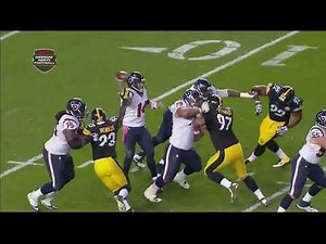 Rare Brett Keisel Interception vs Texans! (2014)