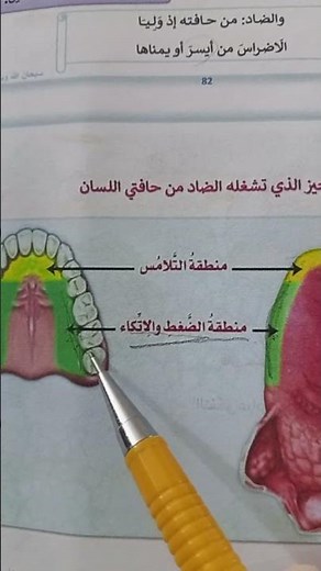 مخارج الحروف للمبتدئين