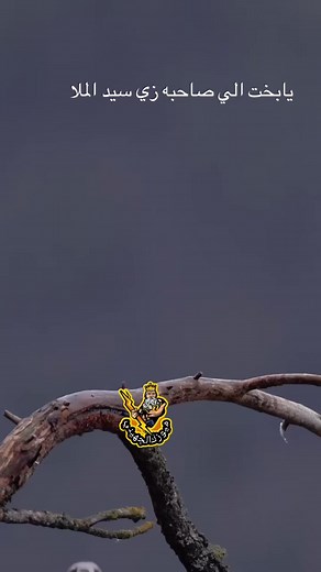 الليل وآخره مع سيد الملا