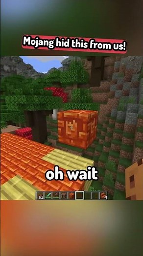 mojang hid this from us