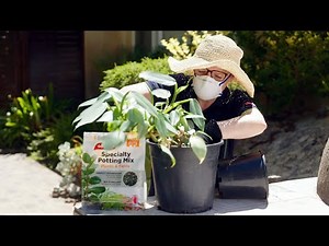 The Garden Gurus - Yates Tips to Success Story 6