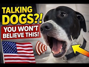 Your Dog Actually Can Talk — Listen Closely