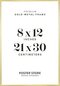 Poster Store 8x12 Gold Metal Picture Frame