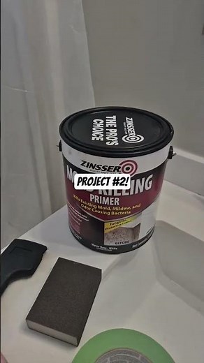 repainting bathroom with PROPER bathroom primer and paint. When I say "we"..I mean ME!