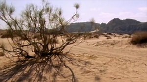 Song of the Day: "Made In Africa" ft. Wale and The Cast of Fela - off of The Revelation Part 1: The Root of Life Listen to the track: https://lnk.to/MadeInAfrica Video by Stephanie Black | Stephen Marley