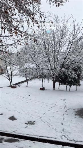 🦋 on Instagram: "It’s snowing !!☃️❄️ . . . .#viral #trending #reels #snow #winter"