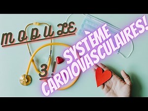 "Formation Aide-Soignant : Le Système Cardiovasculaire (Module 3)"
