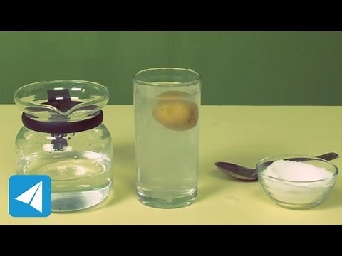 Adding salt makes water denser | Density | Physics