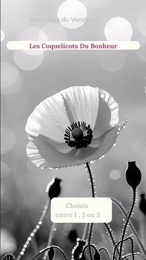 Quel message pour toi aujourd’hui ?