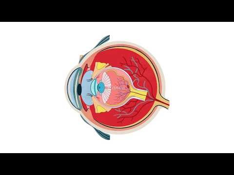 I never thought at 51 I’d be fighting to save my vision… but that’s exactly what happend.