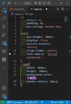CSS Logo using HTML and CSS