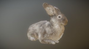 RABBIT ANIMATIONS - Buy Royalty Free 3D model by PROTOFACTOR, INC. (@protofactor)